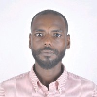 Mohamed Hassan Mohamed Elsayed