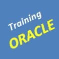 Dba Interface Training Profesional
