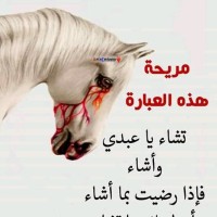Reda Rashdi