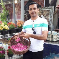 masoud ayati