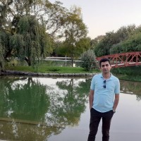 Reza Mirzadeh