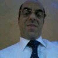 Fawzi Wladi