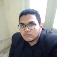 ahmed elrayess