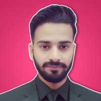 Zarnab Hussain