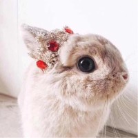 陈一青