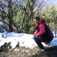 Anuj Chauhan