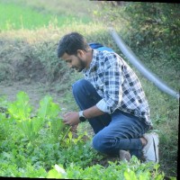 Surendra Kumar Prajapati
