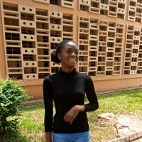 Dolapo Adeleke