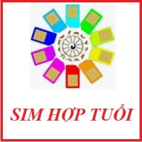 Sim Hợp Tuổi