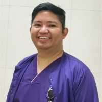 Michael Vincent Loy
