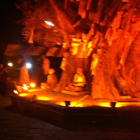 Shekhar Karki