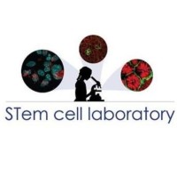 Stem Cell Lab
