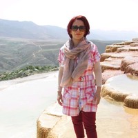 Sepideh Gholiha