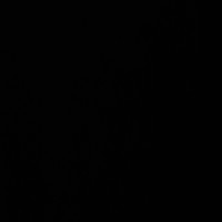 Marcela Aguilera Moya