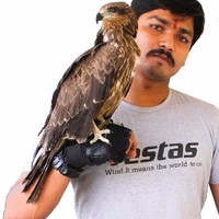 Gokulakrishnan G