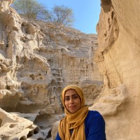 Hamideh Hosseinzadeh