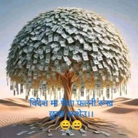 Dipesh Thapa