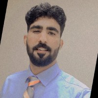 Hamza Saleem