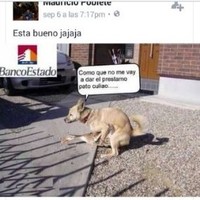 Metrengo .