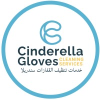 Cinderella Gloves