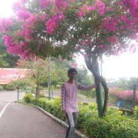 Mohana kannan A