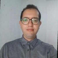 Mohamed Lassaad Hassen