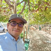 Julio A. Aguilar Ruiz
