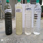 Vision Earthcare