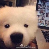 梁清林