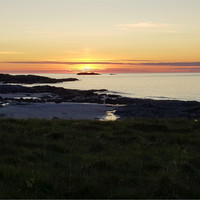 Arne Molnes
