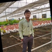Walmik Patil