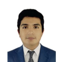 Alim David Auris Castillo