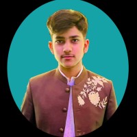 Muhammad Hamid Raza