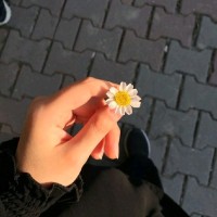 نادية غازي