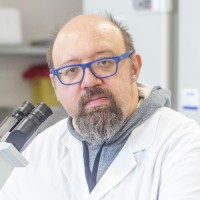 Stefano Mantero