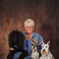 LYNNE HOLCOMB