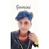 Gemini K