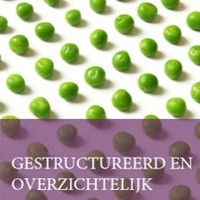 Brenda Van Ommeren