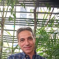 Vito Angelillo