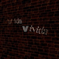 Vida Vivida