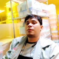 Romnick Sarmiento