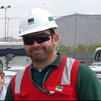 Mario Binimelis Leiva