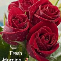 Manish Raj