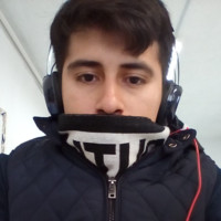 Diego Alejandro Castillo Nuñez