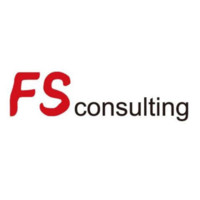 FS consulting