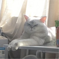 吴金涛