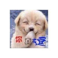 刘国领