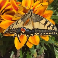 Marie-Hélène Salé