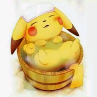 小枫 L-