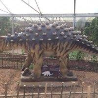 张维忠